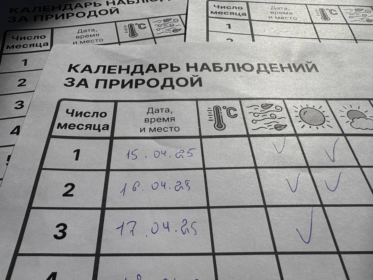 Весна, весна....
